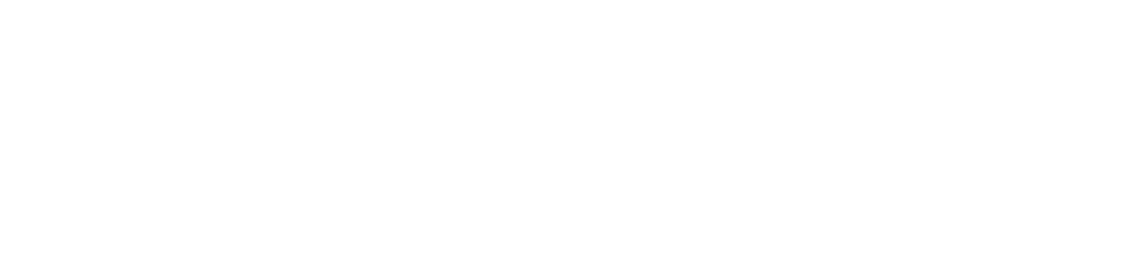 לוגו לבן של חברת Zengo