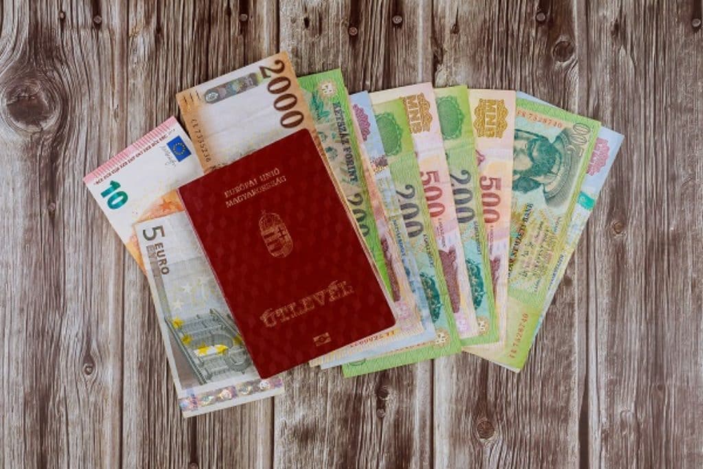 שטרות כסף הונגרי ודרכון הונגרי אדום פרוסים על שולחן עץ