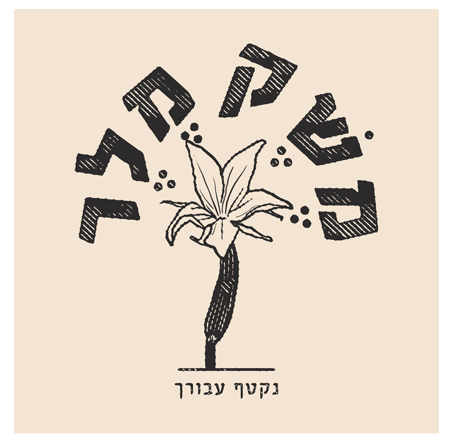 משק מלר משלוחי פירות וירקות