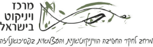 מרכז ויניקוט בישראל